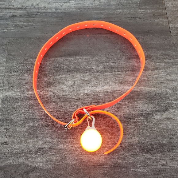GoPetee Other - Orange Neon Night Running Dog Collar w/Light